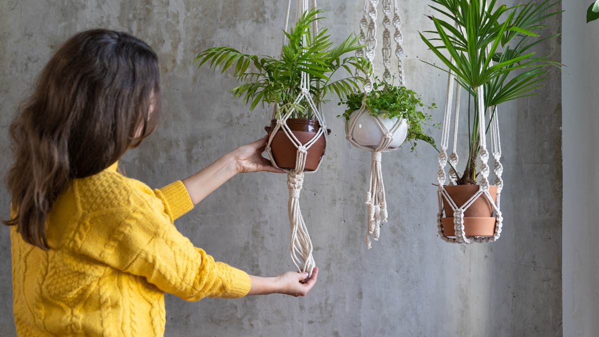 Những ưu điểm và nhược điểm của cây lọc không khí