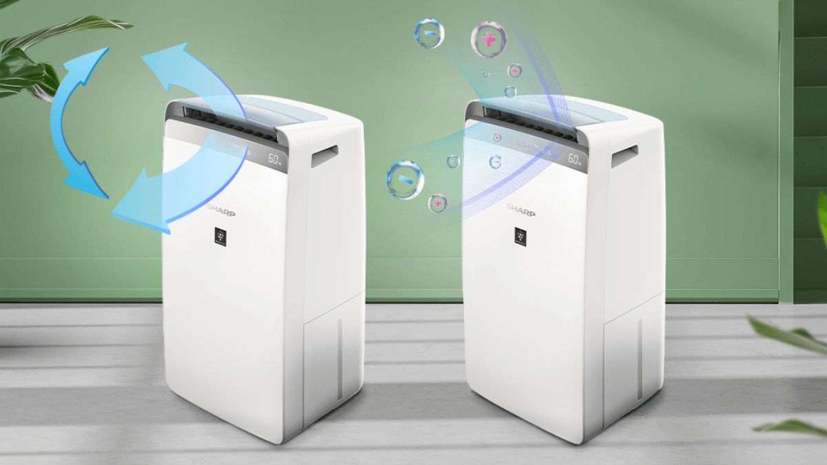 Mẹo sử dụng giúp màng lọc Sharp bền lâu và hiệu quả hơn 