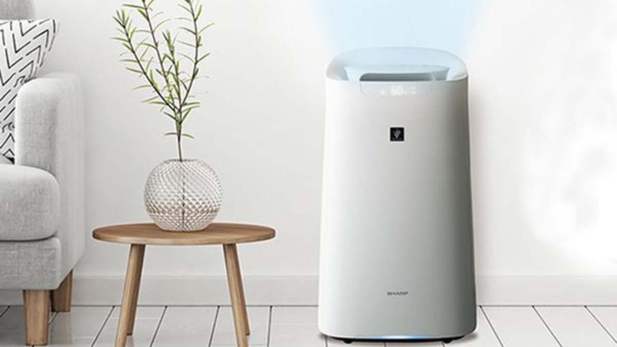Máy lọc không khí Sharp là lựa chọn đáng cân nhắc nếu bạn ưu tiên công nghệ Plasmacluster Ion để ức chế vi khuẩn