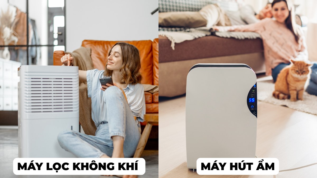 Máy lọc không khí có tác động trực tiếp đến chất lượng không khí, còn máy hút ẩm chỉ gián tiếp cải thiện môi trường sống