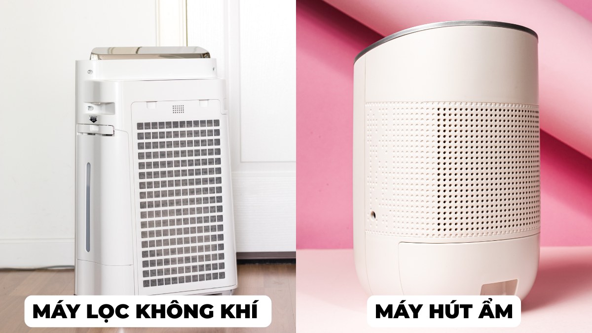 Máy lọc không khí giúp cải thiện hô hấp bằng cách loại bỏ tác nhân gây dị ứng, trong khi máy hút ẩm ngăn nấm mốc phát triển nhờ kiểm soát độ ẩm