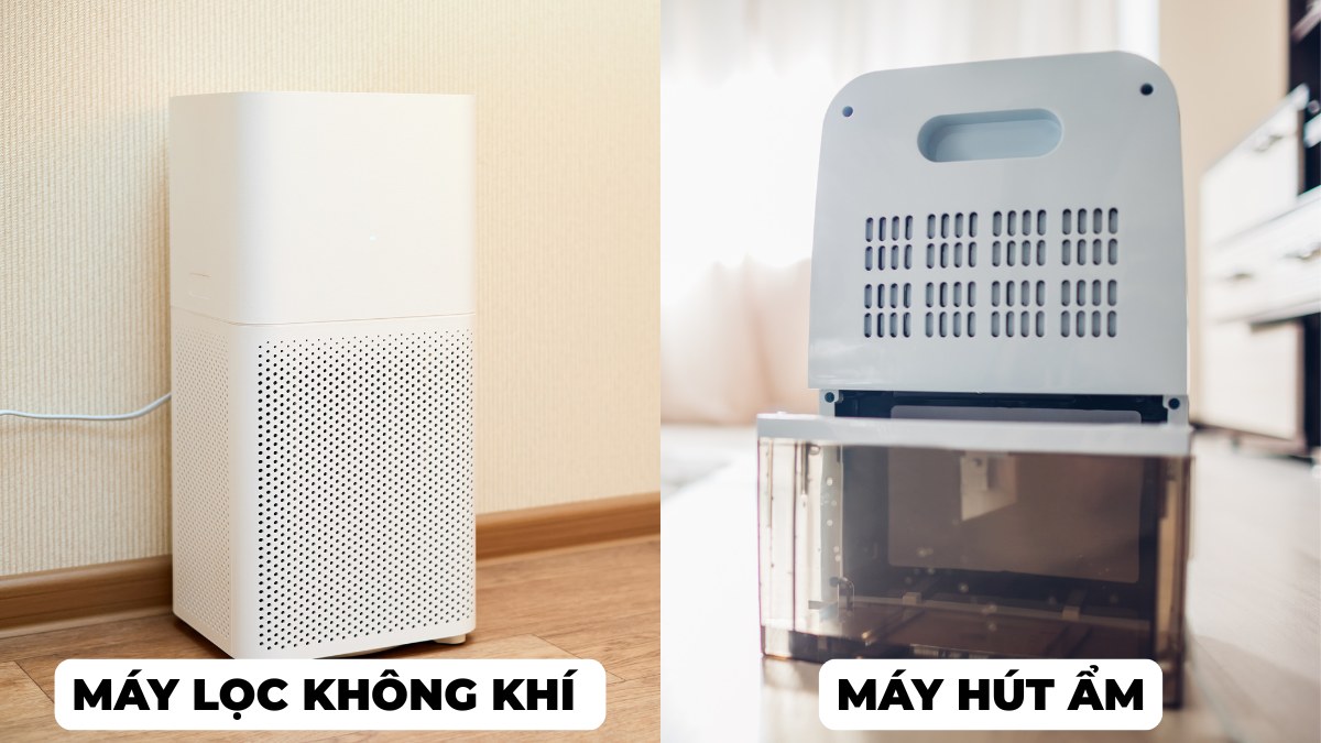 Máy lọc không khí và máy hút ẩm có chức năng khác nhau và nên được lựa chọn tùy theo nhu cầu thực tế của từng gia đình