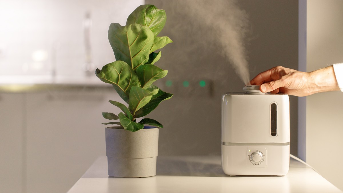 Tác dụng hữu ích của máy làm ẩm không khí