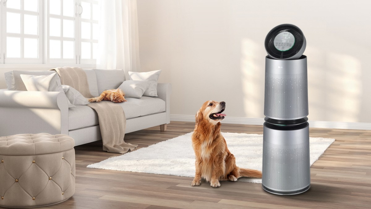 Trong quá trình vệ sinh bạn cần lưu ý những yếu tố quan trọng 