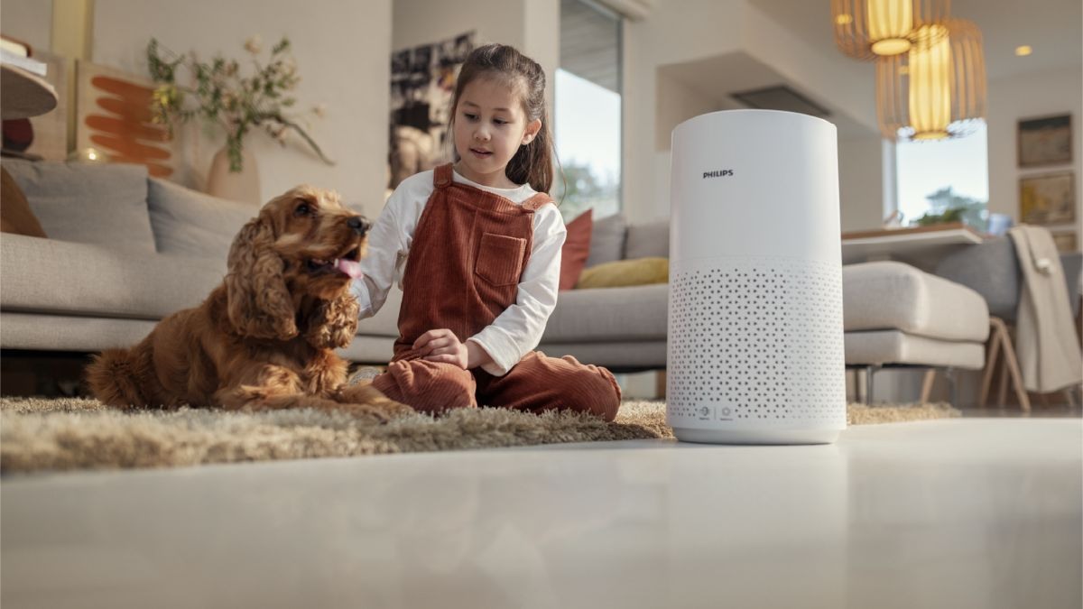 Những lưu ý quan trọng khi vệ sinh máy lọc không khí Philips