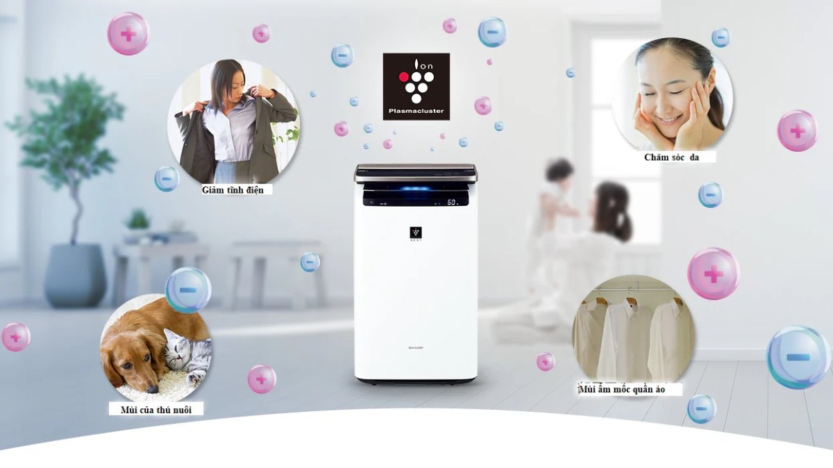 Tìm hiểu công nghệ Plasmacluster Ion trên máy lọc không khí Sharp?