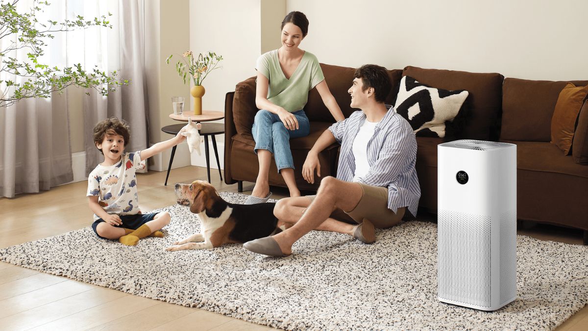 Tổng hợp 5 dòng máy lọc không khí Xiaomi được ưa chuộng 