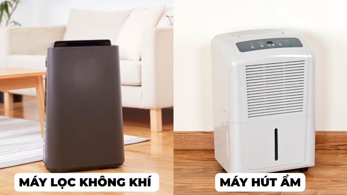 So sánh máy lọc không khí và máy hút ẩm có gì khác nhau?